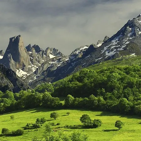 La Tejera Pensión La Franca